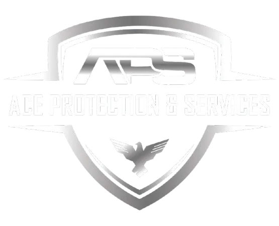 ACE Protection & Services Logo